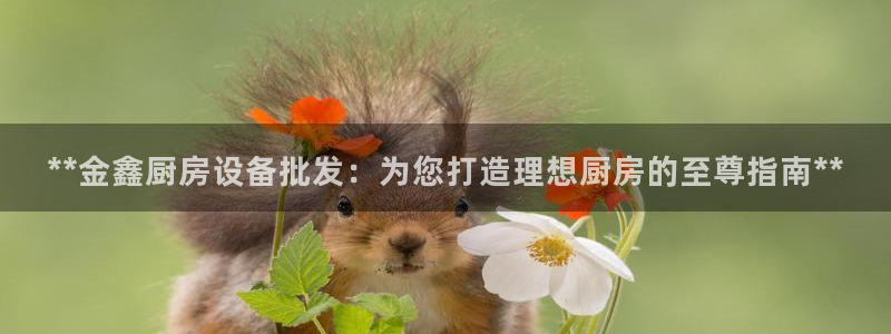 尊龙凯时ag旗舰厅：**金鑫厨房设备批发：为您打造理想厨房的