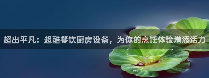 K66凯时国际平台官网：超出平凡：超酷餐饮厨房设备，为你的烹