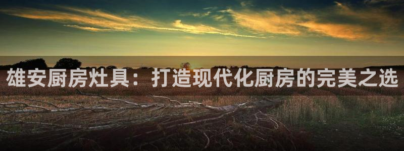 尊龙凯时人生就是搏官方网站：雄安厨房灶具：打造现代化厨房的完