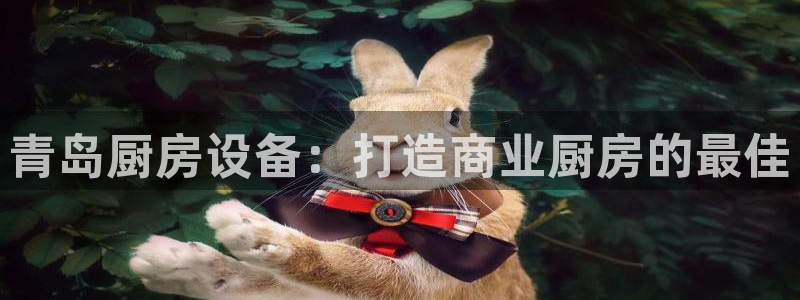 尊龙专访：青岛厨房设备：打造商业厨房的最佳