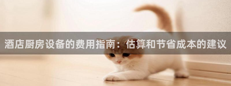 尊龙AG旗舰厅APP：酒店厨房设备的费用指南：估算和节省成本