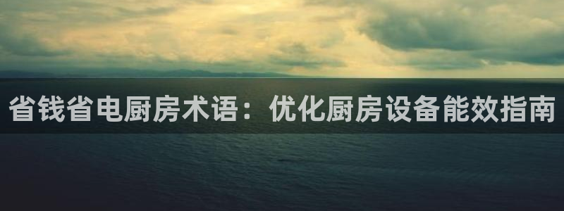 z6com尊龙凯时：省钱省电厨房术语：优化厨房设备能效指南
