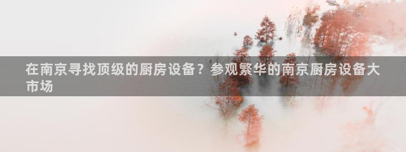尊龙注册码：在南京寻找顶级的厨房设备？参观繁华的南京厨房设备