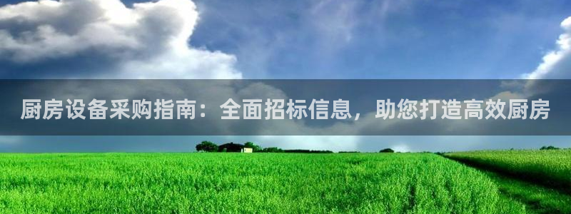 尊龙集团有限公司官网地址：厨房设备采购指南：全面招标信息，助