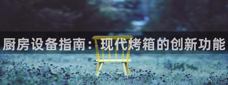 尊龙凯时人生就是博游戏网站：厨房设备指南：现代烤箱的创新功能