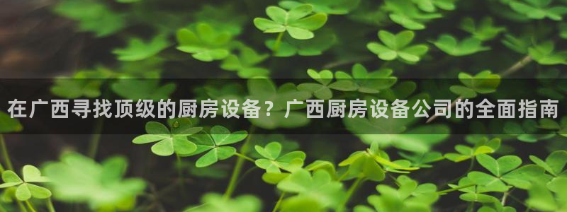 尊龙凯时国际：在广西寻找顶级的厨房设备？广西厨房设备公司的全