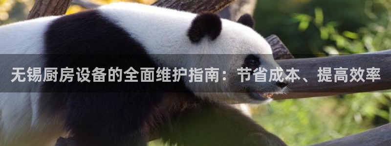 尊龙人生就是博首页入口：无锡厨房设备的全面维护指南：节省成本
