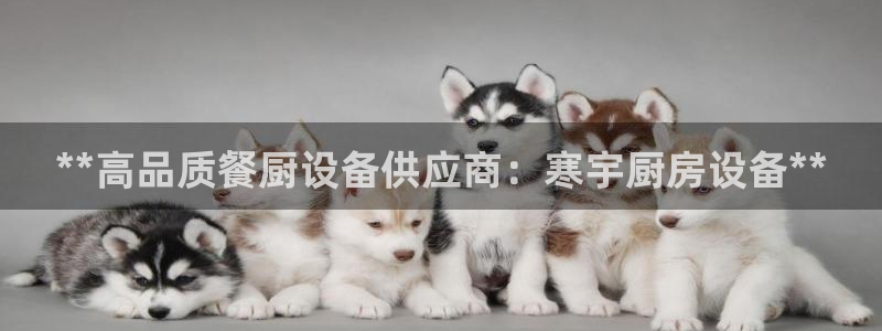 尊龙凯时app产品介绍：**高品质餐厨设备供应商：寒宇厨房设