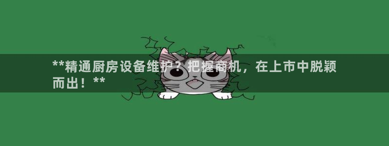 凯时平台怎么样：**精通厨房设备维护？把握商机，在上市中脱颖