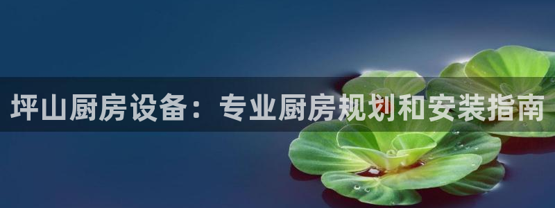 尊龙游戏app官方网站：坪山厨房设备：专业厨房规划和安装指南