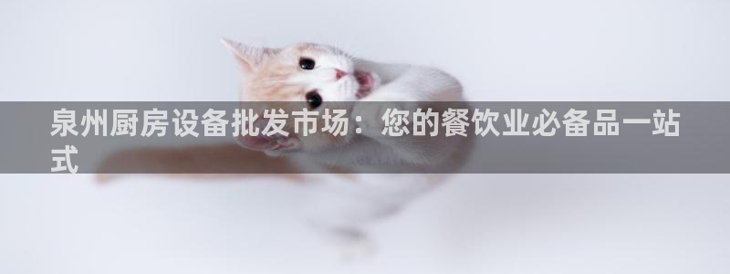 尊龙d88官网去来就送38：泉州厨房设备批发市场：您的餐饮业