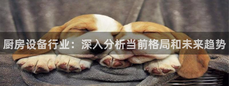 z6尊龙凯时旗：厨房设备行业：深入分析当前格局和未来趋势