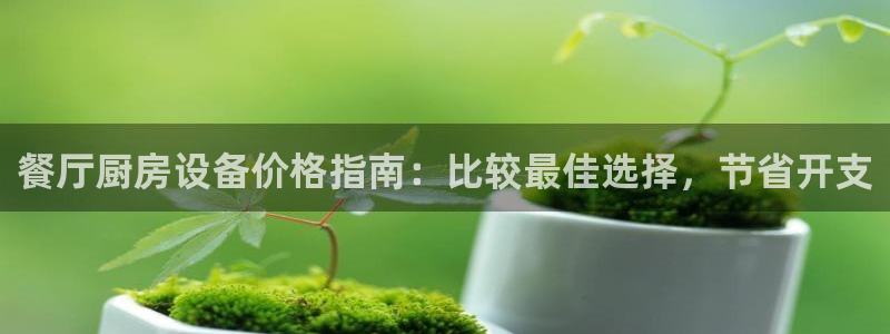 AG尊龙注册在线游戏：餐厅厨房设备价格指南：比较最佳选择，节