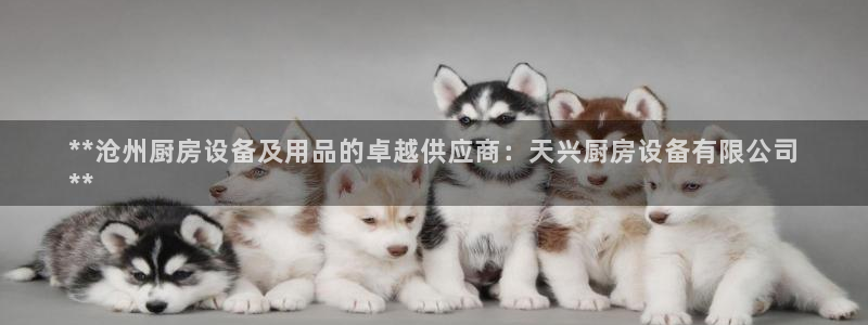尊龙500价格：**沧州厨房设备及用品的卓越供应商：天兴厨房
