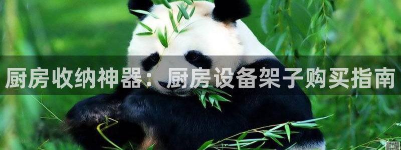 尊龙人生就是博一下首页