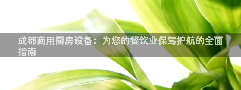 尊龙新版app首页：成都商用厨房设备：为您的餐饮业保驾护航的