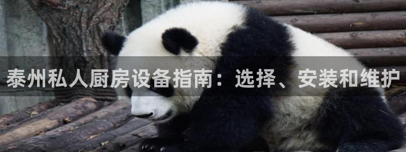 凯时登录首页,凯时K66：泰州私人厨房设备指南：选择、安装和