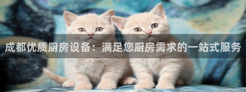 凯时网址多少：成都优质厨房设备：满足您厨房需求的一站式服务