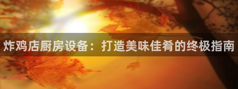尊龙在线登录官网：炸鸡店厨房设备：打造美味佳肴的终极指南