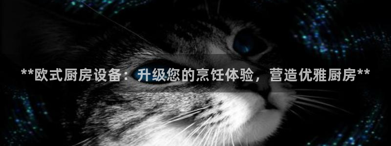 尊龙体育游戏平台：**欧式厨房设备：升级您的烹饪体验，营造优