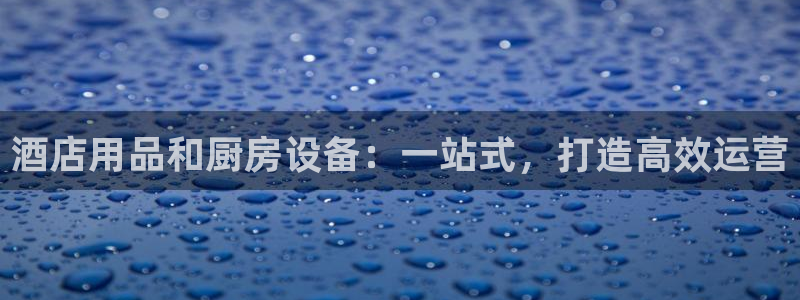 凯时平台app：酒店用品和厨房设备：一站式，打造高效运营