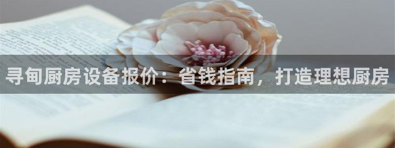 尊龙d88ag官方网站：寻甸厨房设备报价：省钱指南，打造理想