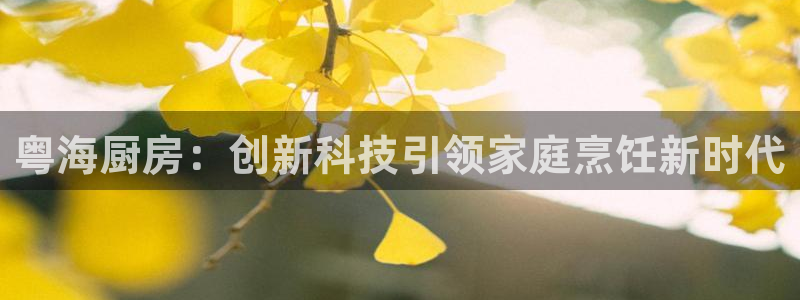 尊龙怎么没消息了