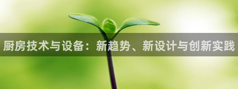 尊龙官网免费下载安装